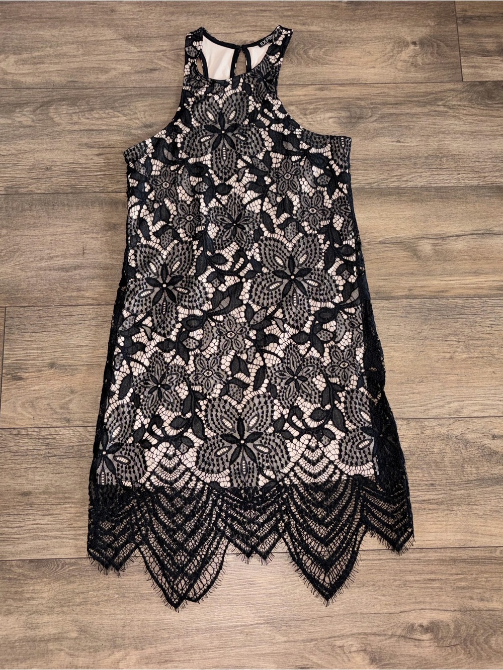 Express Black Lace Overlay Halter Dress with Nude Lining